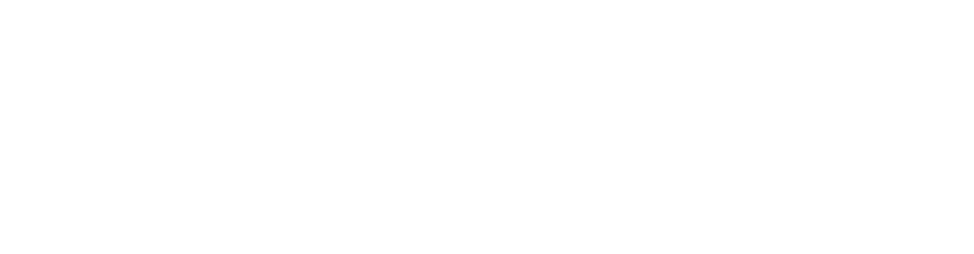 Travel Style Tours